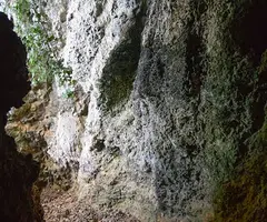 Fotografia de COLOMS, COVA DELS (2 de 3)