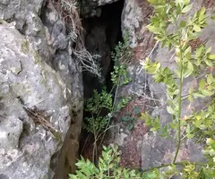 Fotografia de SERRA DEL MAS, COVA SM-26 DE LA (1 de 2)