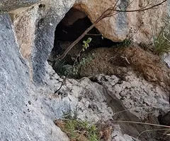 Fotografia de COMARQUES, COVA DE LES (3 de 5)