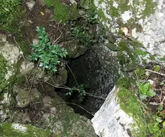 Photograph of NEGRE, AVENC (3 of 4)