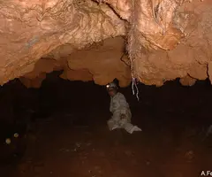 Fotografía de TOIXONS, COVA DELS (7 de 8)