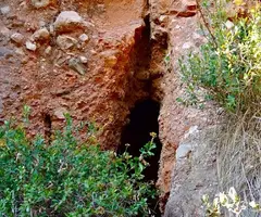 Photograph of CINTA, COVA DE LA (1 of 1)