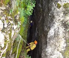 Fotografia de MAÇANA, BÒFIA DE (3 de 11)