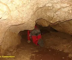 Photographie de CARRADON, COVA DE (9 sur 9)