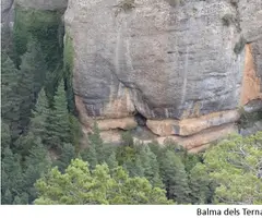 Fotografia de TERNALS, BALMA DELS (1 de 1)