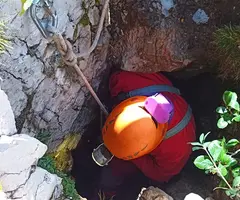 Fotografia de COMTESSA, GRALLERA DE LA (5 de 9)