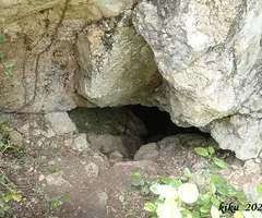 Photograph of QUATRE GATS, COVA DELS (2 of 5)