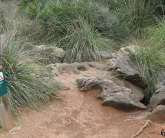 Photograph of LLAMBRICS, AVENC DELS (2 of 2)