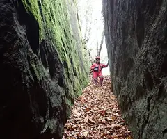 Photographie de CAMÍ, BORA DEL (3 sur 6)