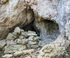 Photograph of CAL PLA, COVA DE (1 of 2)