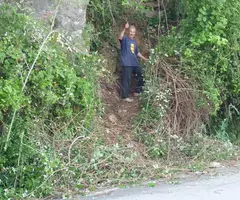 Fotografia de TRENCADA, COVA (3 de 5)