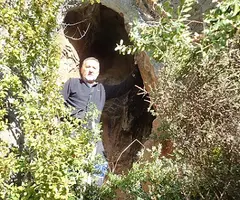 Fotografía de OLOPTE, COVA G D' (2 de 6)