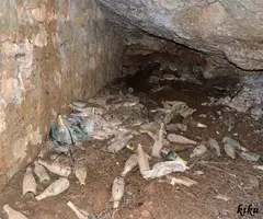 Fotografía de FORESOS, BALMA DELS (7 de 8)
