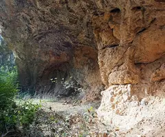 Fotografía de ROCA LLORENYA, COVA DE (2 de 3)