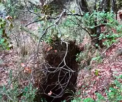Fotografia de ESQUENA D'ASES, AVENC DE L' (1 de 1)