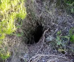 Fotografia de FONT DEL CONILL, AVENC DE LA (1 de 1)
