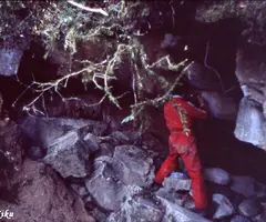 Photographie de CARRERA, COVA DE LA (5 sur 6)