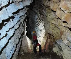 Fotografía de CINGLE DE ROCA ALTA, AVENC DEL (8 de 8)