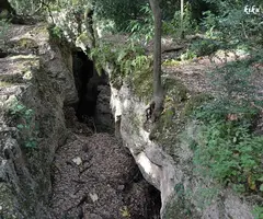 Photograph of ESTUNES, LES (2 of 7)