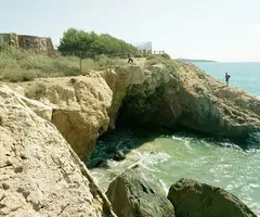 Fotografía de SAVINOSA, COVA DE LA (2 de 7)