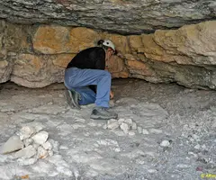 Photographie de VALL-LLOSSERA, COVA B-2 DE (3 sur 3)