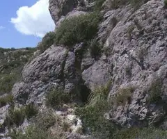 Photographie de CASSIMANYA,  COVA (1 sur 3)