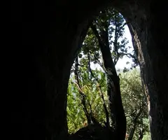 Photographie de JOAN GRAN, COVA DEL (2 sur 2)