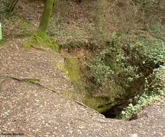 Fotografia de CARBONERA, AVENC DE LA (12 de 12)