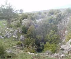 Fotografía de COLL DE CUBERES, FORAT DEL (7 de 7)