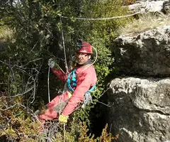 Fotografía de CAMÍ DE L'ORÓ, ESQUERDA DEL (1 de 8)