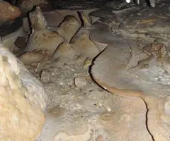 Photographie de TRONEDA,  COVA-AVENC DE LA (4 sur 5)