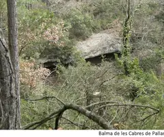 Photographie de CABRES DE PALLARÈS, BALMA DE LES (1 sur 2)