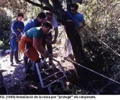 Photographie de DAVÍ, AVENC DEL (1 sur 15)