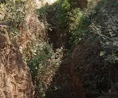 Fotografia de CAN TRULLARS, COVA DE (3 de 10)