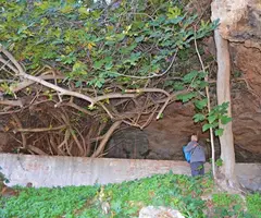 Fotografia de HOSPITAL VELL, BALMA DE L' (1 de 3)