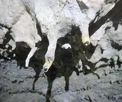 Fotografía de PASTOR, COVA DEL (7 de 12)