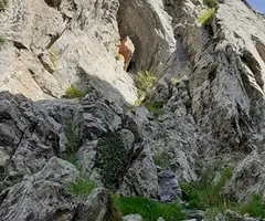 Fotografia de MONT, FORAT DEL (1 de 3)