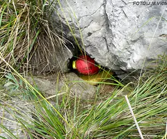 Photographie de GIESC, AVENC (1 sur 1)