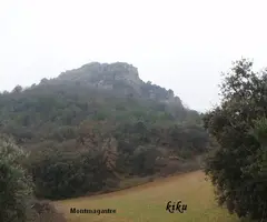 Fotografía de FORANICO,  LO (1 de 5)