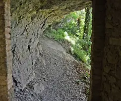 Photograph of RENTADOR DE LA LLANA DEL ROQUER, BALMA DEL (4 of 6)