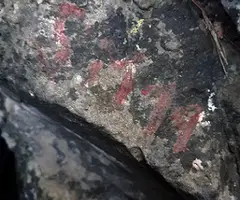 Fotografia de SERRA DEL MAS, COVA SM-14 DE LA (2 de 4)
