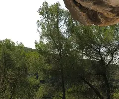 Fotografía de COSTER MITGER, BALMA DEL (5 de 6)