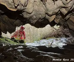 Fotografia de AIGUA DE CASELLES, COVES DE L' (2 de 13)