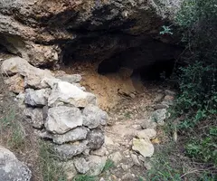 Fotografia de COCÓ DE VILAROYA, COVETA DEL (1 de 1)