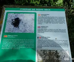 Fotografia de PETITOT, COVA DEL (1 de 6)