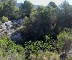 Fotografía de TÚNEL, FORAT DEL (1 de 6)