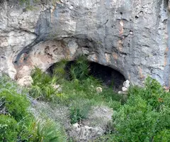 Photographie de PALMERS, COVA DELS (1 sur 1)