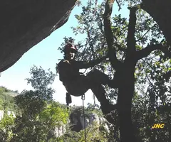 Fotografia de TALPS, COVA DELS (2 de 4)