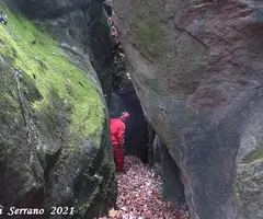 Fotografia de MASALLERA, BORA LLARGA D'EN (2 de 5)