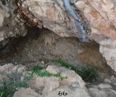 Fotografía de FREIXES, ELS (1 de 2)